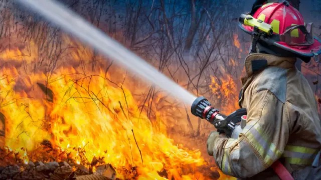 Elevate Workplace Safety: The Critical Need for Fire Warden & Fire Marshal Training - Health and Safety Training UK
